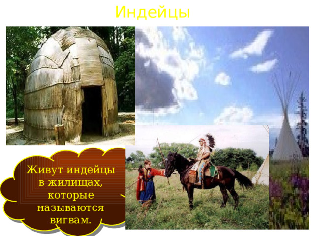 Индейцы Живут индейцы в жилищах, которые называются вигвам. 