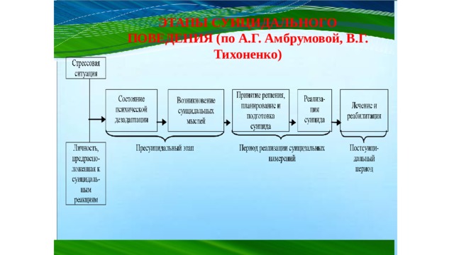 ЭТАПЫ СУИЦИДАЛЬНОГО ПОВЕДЕНИЯ (по А.Г. Амбрумовой, В.Г. Тихоненко) 