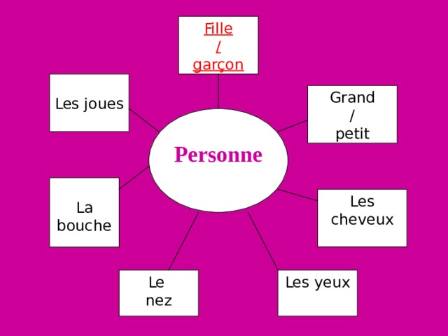 Fille / garçon Les joues Grand / petit Personne La bouche Les cheveux Le nez Les yeux 