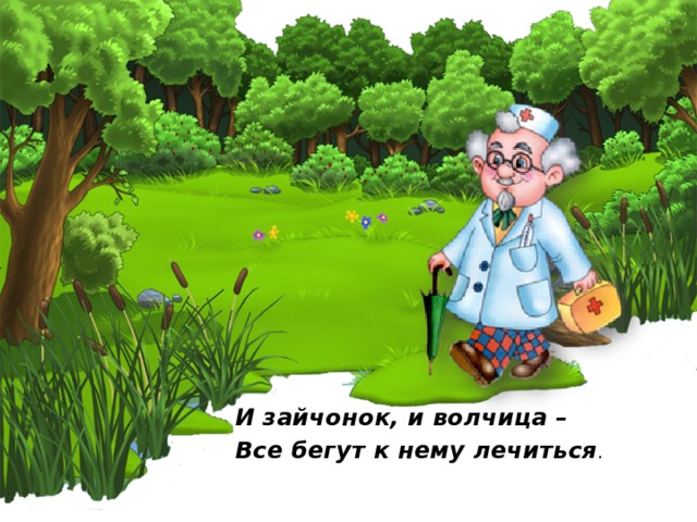 И зайчонок, и волчица – Все бегут к нему лечиться .   