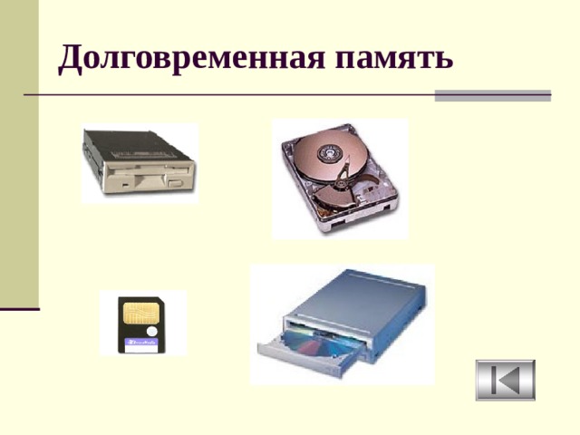 Долговременная память 