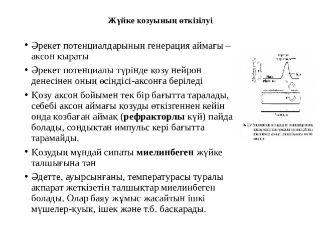 Жүйке қозуының өткізілуі   Әрекет потенциалдарының генерация аймағы – аксон қыраты Әрекет потенциалы түрінде қозу нейрон денесінен оның өсіндісі-аксонға беріледі Қозу аксон бойымен тек бір бағытта таралады, себебі аксон аймағы қозуды өткізгеннен кейін онда қозбаған аймақ ( рефракторлы күй) пайда болады, сондықтан импульс кері бағытта тарамайды. Қозудың мұндай сипаты миелинбеген жүйке талшығына тән Әдетте, ауырсынғаны, температурасы туралы ақпарат жеткізетін талшықтар миелинбеген болады. Олар баяу жұмыс жасайтын ішкі мүшелер-қуық, ішек және т.б. басқарады. 