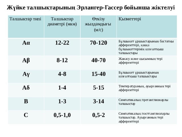 Жүйке талшықтарының Эрлангер-Гассер бойынша жіктелуі   Талшықтар типі А α Талшықтар диаметрі (мкм) А β Өткізу жылдамдығы 12-22 Аγ 70-120 Қызметтері (м/с) 8-12 Аδ 4-8 40-70 Бұлшықет ұршықтарының бастапқы афференттері, қаңқа бұлшықеттерінің қозғалтқыш талшықтары Жанасу және қысымның тері афференттері 1-4 В 15-40 1-3 Бұлшықет ұршықтарының қозғалтқыш талшықтары 5-15 С Температураның, ауырғанның тері афференттері 3-14 0,5-1,0 Симпатикалық преганглионарлы талшықтар 0,5-2 Симпатикалық постганглиоларлы талшықтар. Ауырғанның тері афференттері 