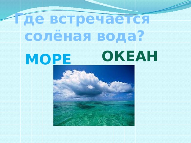 Где встречается солёная вода? океан МОРЕ 