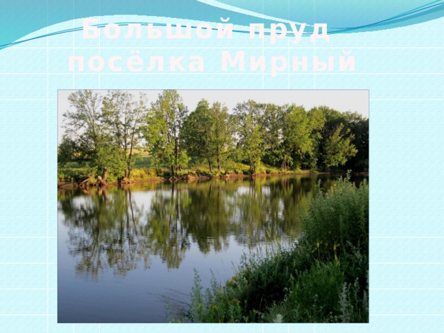 Большой пруд посёлка Мирный 