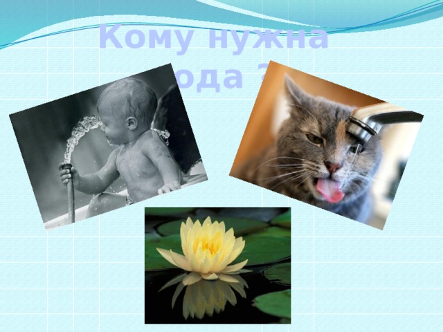 Кому нужна вода ? 