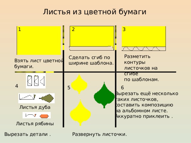 Листья из цветной бумаги 3 1 2 Разметить контуры листочков на сгибе по шаблонам. Сделать сгиб по ширине шаблона. Взять лист цветной бумаги. 4 6 5 Вырезать ещё несколько таких листочков, составить композицию на альбомном листе. Аккуратно приклеить . Листья дуба Листья рябины Вырезать детали . Развернуть листочки. 