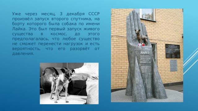 Уже через месяц, 3 декабря СССР произвёл запуск второго спутника, на борту которого была собака по имени Лайка. Это был первый запуск живого существа в космос, до этого предполагалась, что любое существо не сможет перенести нагрузок и есть вероятность, что его разорвёт от давления. 
