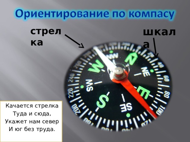 стрелка шкала Качается стрелка Туда и сюда, Укажет нам север И юг без труда. 