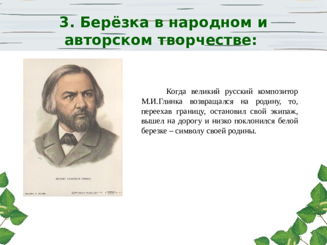 3. Берёзка в народном и авторском творчестве:  Когда великий русский композитор М.И.Глинка возвращался на родину, то, переехав границу, остановил свой экипаж, вышел на дорогу и низко поклонился белой березке – символу своей родины. 