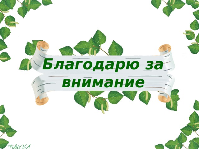   Благодарю за внимание 