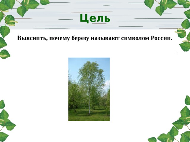 http://www.deti-66.ru Цель Выяснить, почему березу называют символом России.  