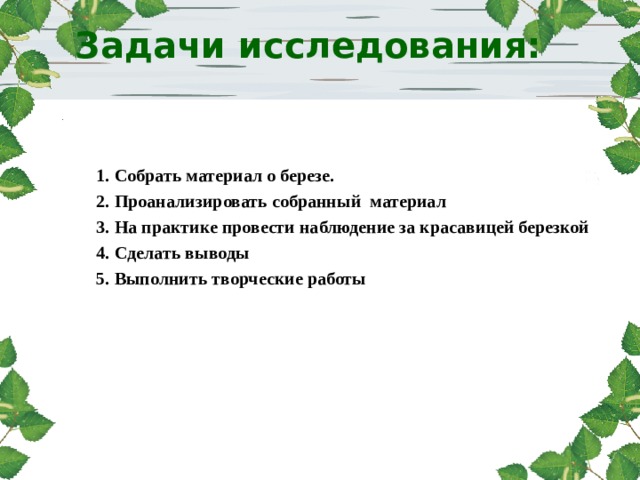 Задачи исследования:    1. Собрать материал о березе. 2. Проанализировать собранный материал 3. На практике провести наблюдение за красавицей березкой 4. Сделать выводы 5. Выполнить творческие работы 
