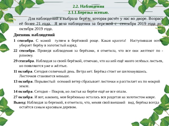 2.2. Наблюдения 2.1.1.Березка осенью.  Для наблюдений я выбрала берёзу, которая растёт у нас во дворе. Возраст её более 21 года. Я вела наблюдения за березкой с сентября 2019 года до октября 2019 года.  Дневник наблюдений 1 сентября . С мамой гуляем в берёзовой роще. Какая красота! Наступившая осень убирает берёзу в золотистый наряд. 22 сентября . Проведя наблюдения за берёзами, я отметила, что все они желтеют по - разному. 29 сентября . Наблюдая за своей берёзкой, отмечаю, что на ней ещё много зелёных листьев, но появляются уже и жёлтые . 11 октября . Сегодня солнечный день. Ветра нет. Берёзка стоит не шелохнувшись. Листочков становится меньше. 13 октября . Порывистый осенний ветер сбрасывает листочки и расстилает их по мокрой земле. 14 октября . Сегодня – Покров, но листья на берёзе ещё не все опали. 27 октября . И вот, наконец, моя берёзонька осталась вся раздетая на золотистом ковре. Вывод: Наблюдая за березкой, я отметила, что, меняя свой внешний вид, берёзка всегда остаётся самым красивым деревом.   