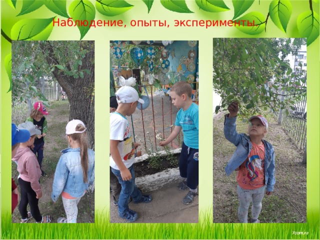  Наблюдение, опыты, эксперименты. 
