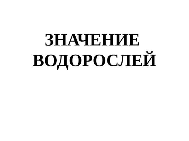 ЗНАЧЕНИЕ  ВОДОРОСЛЕЙ 