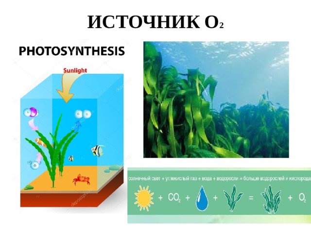 ИСТОЧНИК О 2 