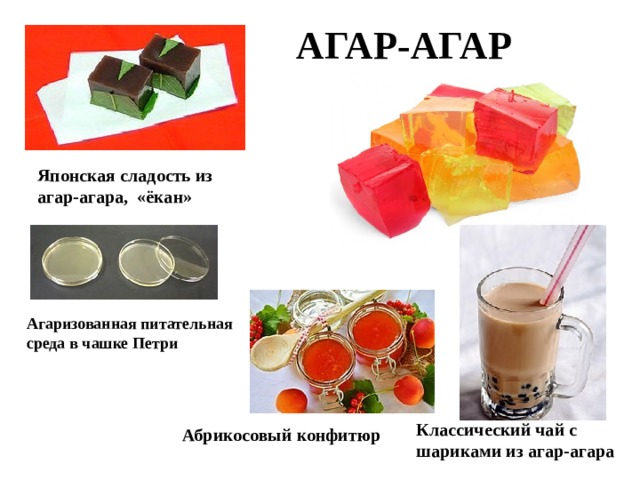 АГАР-АГАР Японская сладость из агар-агара, «ёкан» Агаризованная питательная среда в чашке Петри Классический чай с шариками из агар-агара Абрикосовый конфитюр 