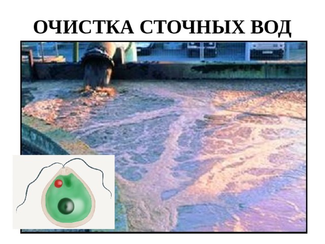 ОЧИСТКА СТОЧНЫХ ВОД 