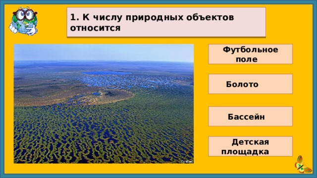 1.  К числу природных объектов относится Футбольное поле Болото Бассейн Детская площадка 
