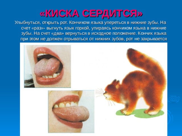 «КИСКА СЕРДИТСЯ» Улыбнуться, открыть рот. Кончиком языка упереться в нижние зубы. На счет «раз»- выгнуть язык горкой, упираясь кончиком языка в нижние зубы. На счет «два» вернуться в исходное положение. Кончик языка при этом не должен отрываться от нижних зубов, рот не закрывается 