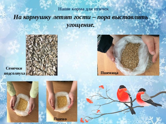 Наши корма для птичек   На кормушку летят гости – пора выставлять угощение.  Семечки подсолнуха Пшеница Пшено 