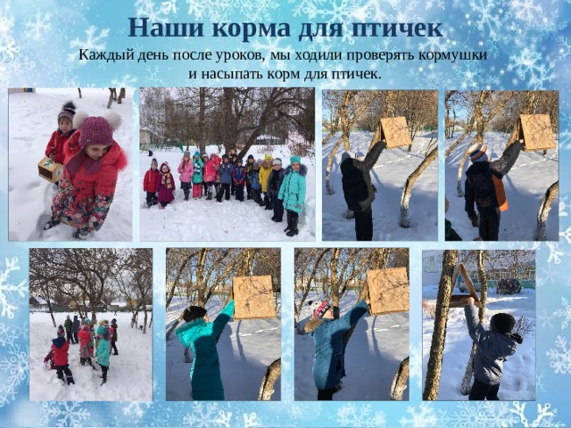 Наши корма для птичек Каждый день после уроков, мы ходили проверять кормушки  и насыпать корм для птичек.  
