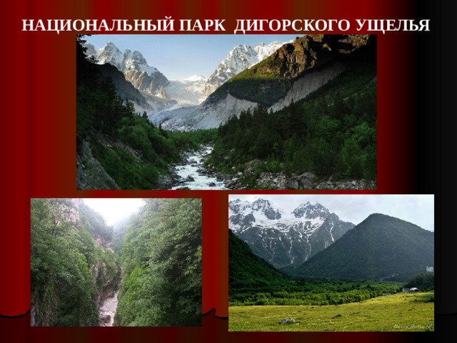 НАЦИОНАЛЬНЫЙ ПАРК ДИГОРСКОГО УЩЕЛЬЯ 