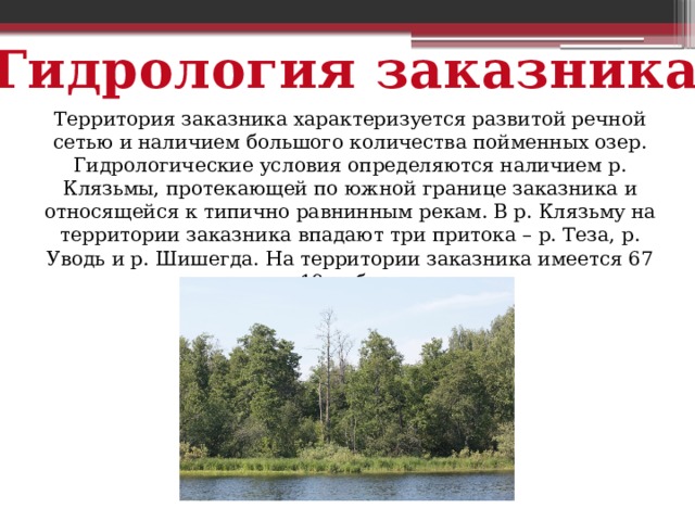 Гидрология заказника Территория заказника характеризуется развитой речной сетью и наличием большого количества пойменных озер. Гидрологические условия определяются наличием р. Клязьмы, протекающей по южной границе заказника и относящейся к типично равнинным рекам. В р. Клязьму на территории заказника впадают три притока – р. Теза, р. Уводь и р. Шишегда. На территории заказника имеется 67 крупных и 19 небольших озер.   
