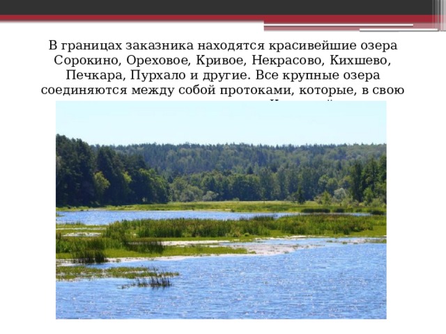 В границах заказника находятся красивейшие озера Сорокино, Ореховое, Кривое, Некрасово, Кихшево, Печкара, Пурхало и другие. Все крупные озера соединяются между собой протоками, которые, в свою очередь, соединяются с Клязьмой. 