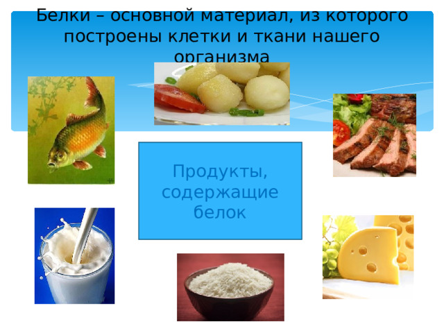 Белки – основной материал, из которого построены клетки и ткани нашего организма Продукты, содержащие белок 