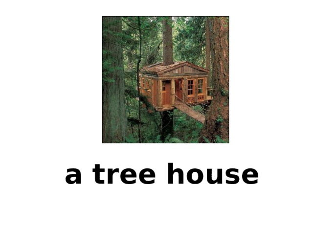 a tree house 