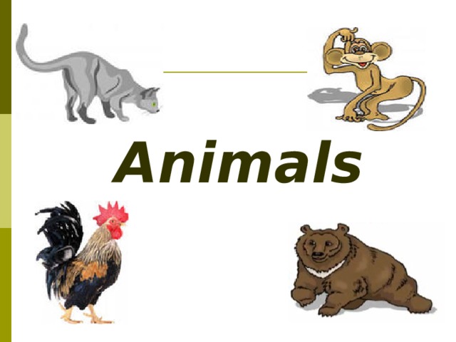 Animals 