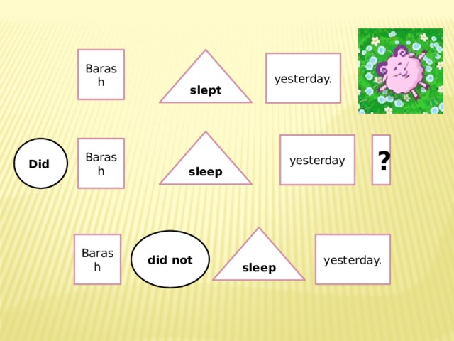 slept Barash yesterday. sleep yesterday ? Barash Did sleep did not yesterday. Barash 