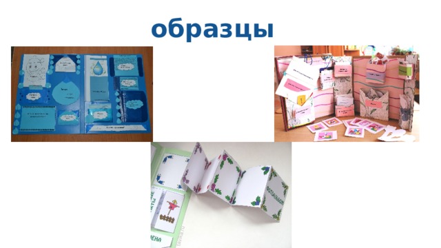 образцы 