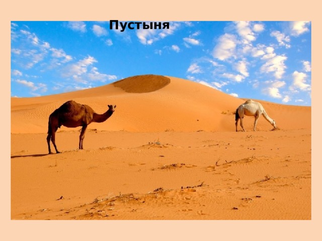  Пустыня 