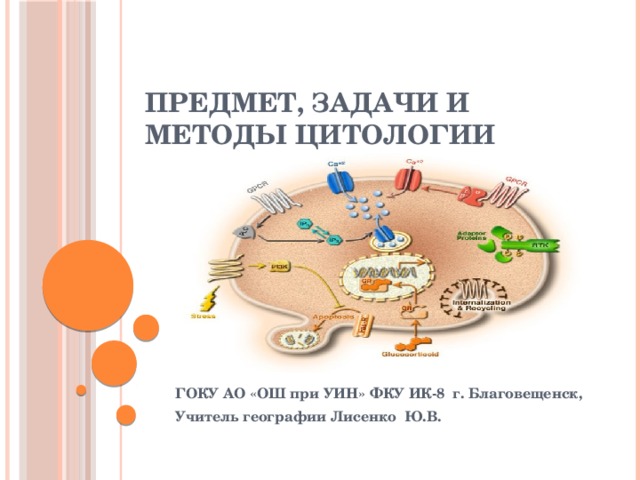 Предмет, задачи и методы цитологии   ГОКУ АО «ОШ при УИН» ФКУ ИК-8 г. Благовещенск, Учитель географии Лисенко Ю.В. 