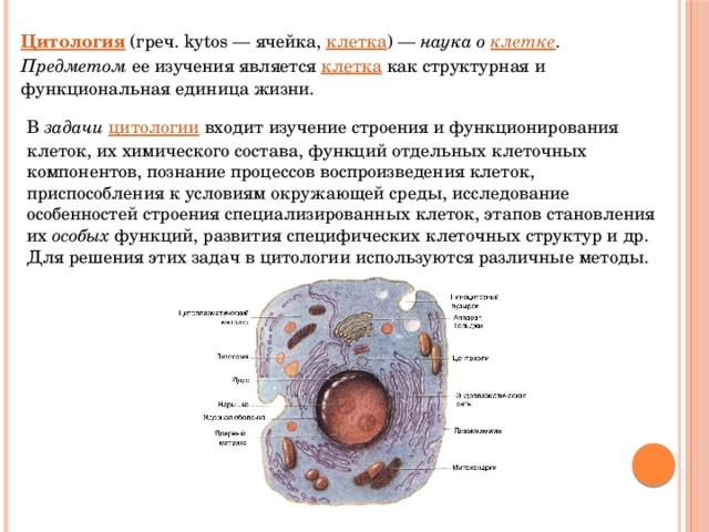 Цитология  (греч. kytos — ячейка, клетка ) — наука о клетке .  Предметом ее изучения является клетка как структурная и функциональная единица жизни. В задачи  цитологии входит изучение строения и функционирования клеток, их химического состава, функций отдельных клеточных компонентов, познание процессов воспроизведения клеток, приспособления к условиям окружающей среды, исследование особенностей строения специализированных клеток, этапов становления их особых функций, развития специфических клеточных структур и др. Для решения этих задач в цитологии используются различные методы. 