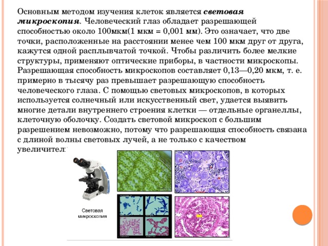 Основным методом изучения клеток является световая микроскопия . Человеческий глаз обладает разрешающей способностью около 100мкм(1 мкм = 0,001 мм). Это означает, что две точки, расположенные на расстоянии менее чем 100 мкм друг от друга, кажутся одной расплывчатой точкой. Чтобы различить более мелкие структуры, применяют оптические приборы, в частности микроскопы. Разрешающая способность микроскопов составляет 0,13—0,20 мкм, т. е. примерно в тысячу раз превышает разрешающую способность человеческого глаза. С помощью световых микроскопов, в которых используется солнечный или искусственный свет, удается выявить многие детали внутреннего строения клетки — отдельные органеллы, клеточную оболочку. Создать световой микроскоп с большим разрешением невозможно, потому что разрешающая способность связана с длиной волны световых лучей, а не только с качеством увеличительных стекол. 