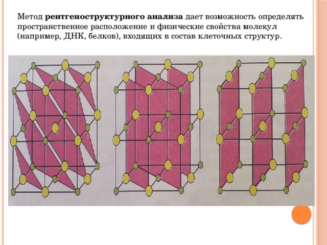 Метод рентгеноструктурного анализа дает возможность определять пространственное расположение и физические свойства молекул (например, ДНК, белков), входящих в состав клеточных структур. 