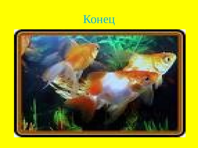 Конец 