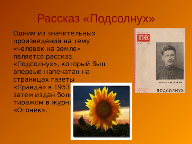 Рассказ «Подсолнух» Одним из значительных произведений на тему «человек на земле» является рассказ «Подсолнух», который был впервые напечатан на страницах газеты «Правда» в 1953 году, а затем издан большим тиражом в журнале «Огонек». 