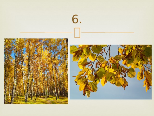 6. 