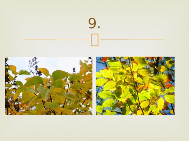 9. 