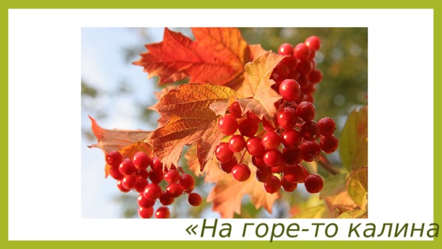 «На горе-то калина» 