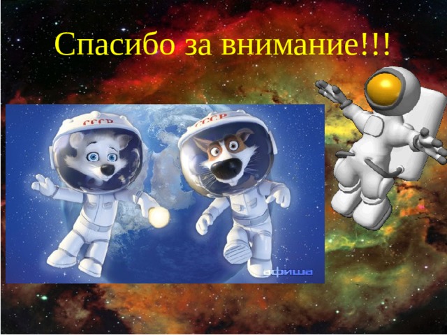 Спасибо за внимание!!! 