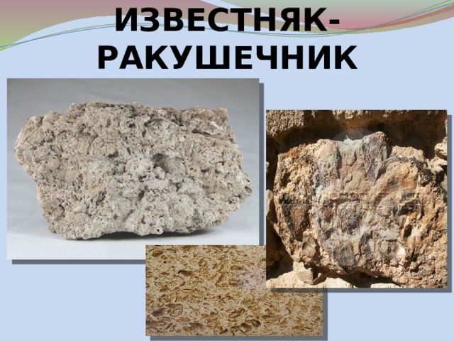 ИЗВЕСТНЯК-РАКУШЕЧНИК 