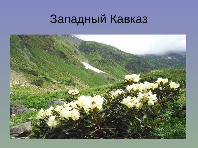 Западный Кавказ 