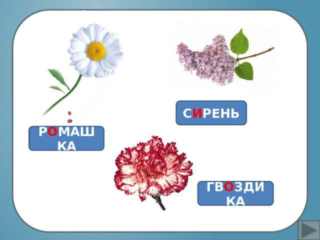 Не заботясь о погоде,  В сарафане белом ходит,  А в один из теплых дней  Май сережки дарит ей. Вставка рисунка Проверь себя С И РЕНЬ  Проверь себя Р О МАШКА  Проверь себя ГВ О ЗДИКА  