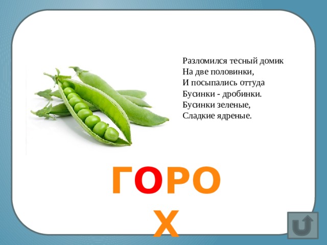 Не заботясь о погоде,  В сарафане белом ходит,  А в один из теплых дней  Май сережки дарит ей. Разломился тесный домик  На две половинки,  И посыпались оттуда  Бусинки - дробинки.  Бусинки зеленые,  Сладкие ядреные. Вставка рисунка /// Г О РОХ ГОРО 